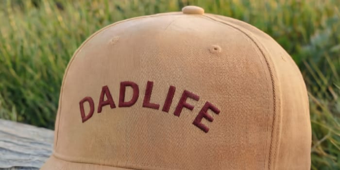 Beige cap with red 'DADLIFE' embroidery on log by lake and meadow.