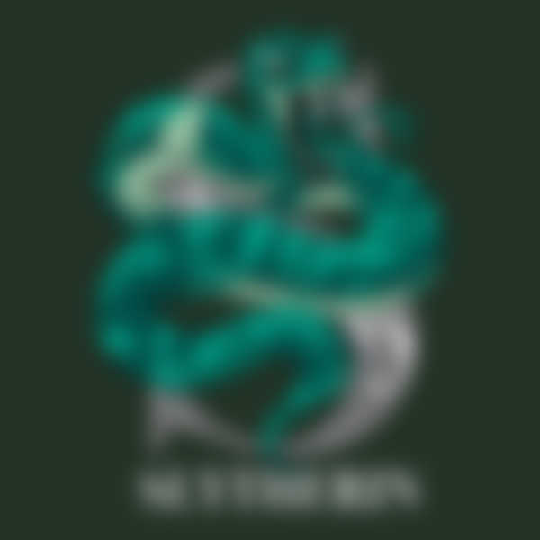 Slytherin logo on a green background