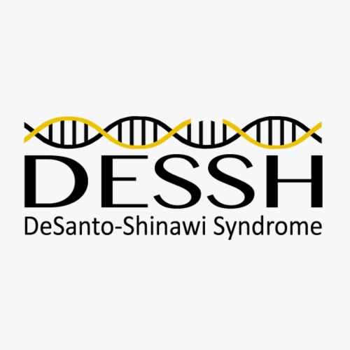 DESSH Syndrome Logo - Unisex Contrast Hoodie