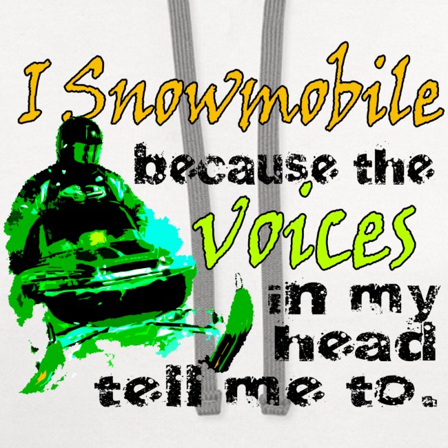 Snowmobile Voices