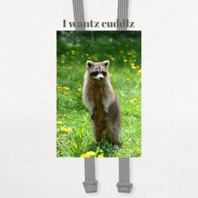Raccoon ,I wantz cuddlz t-shirt