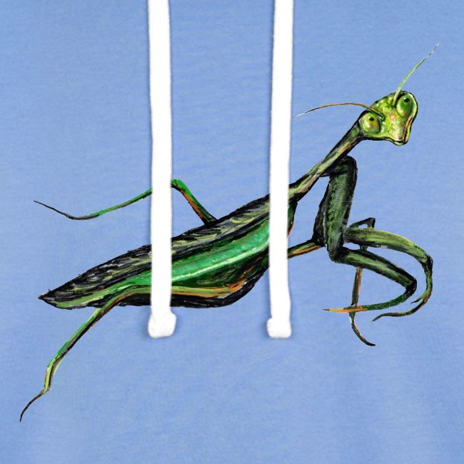 Praying mantis
