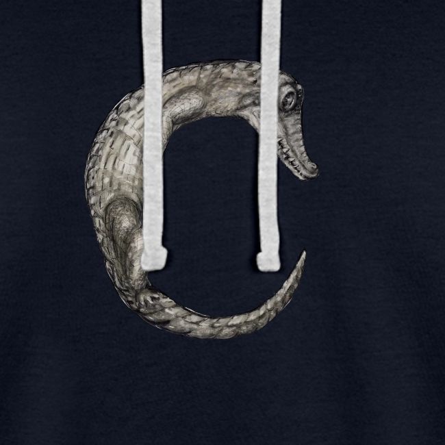 crocodile Transparent