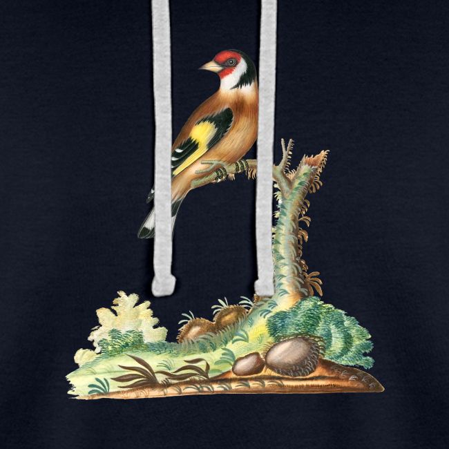 European goldfinch
