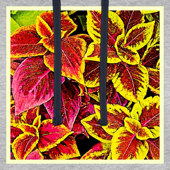 Coleus Leaf Burst Design