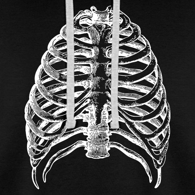 Human Rib Cage