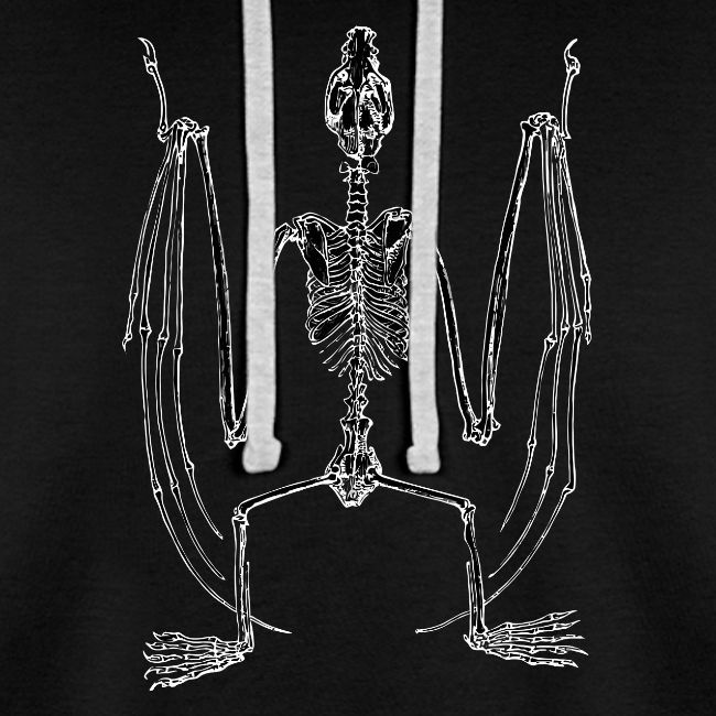 Bat Skeleton