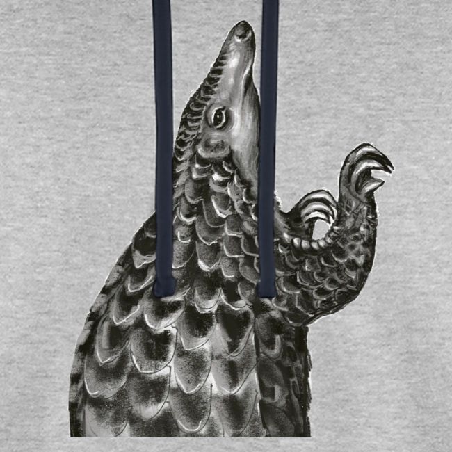 Pangolin transparent background