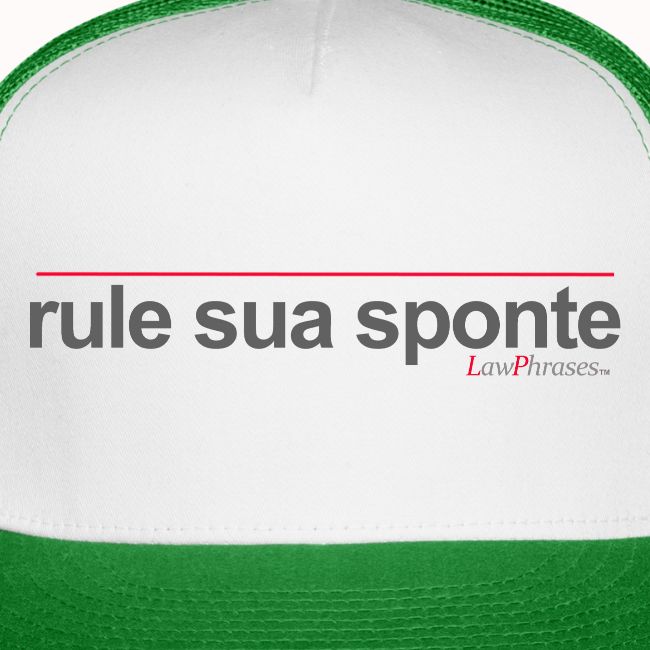 rule sua sponte
