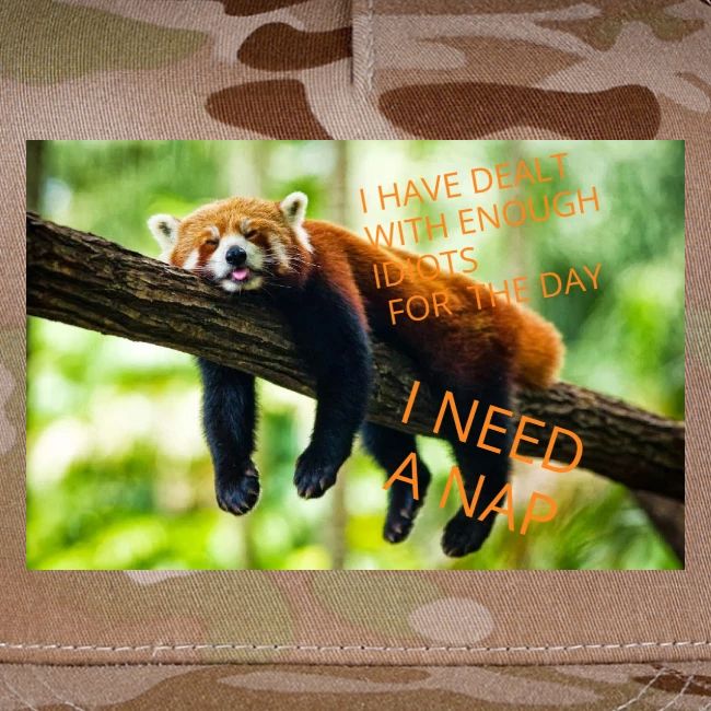 Fox napping meme