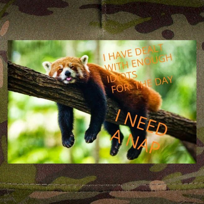 Fox napping meme