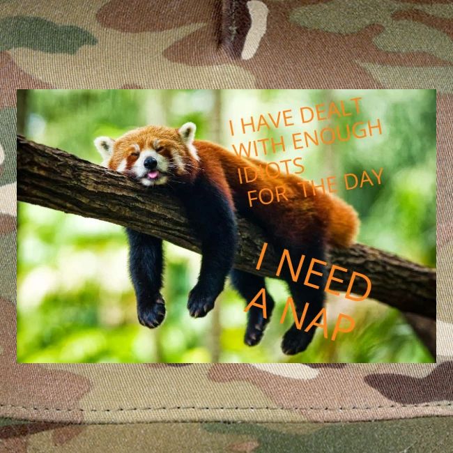 Fox napping meme