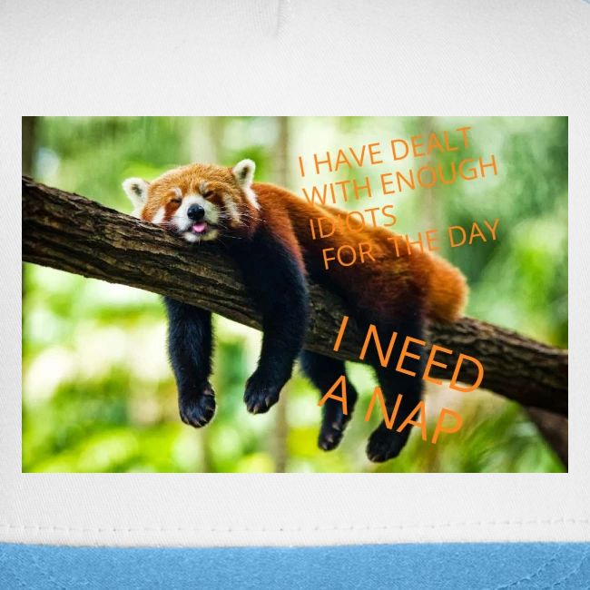 Fox napping meme