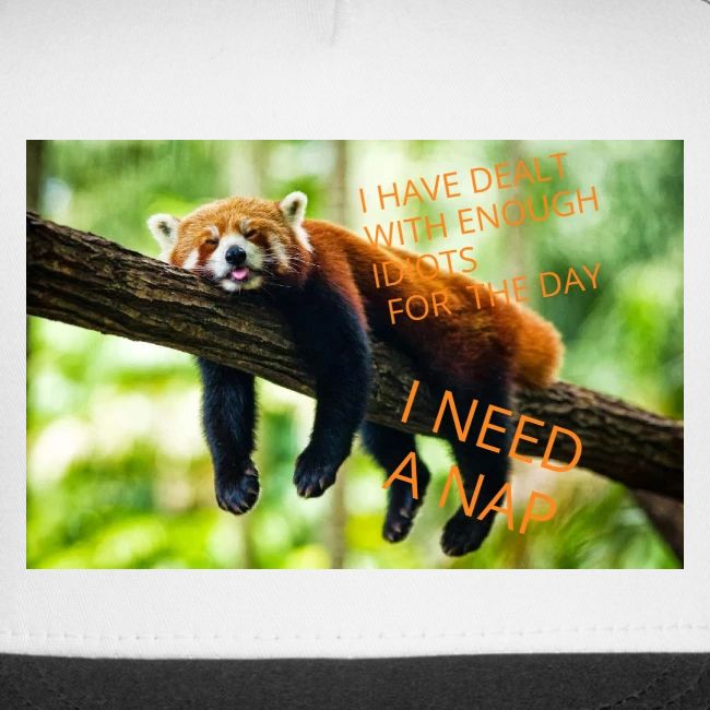 Fox napping meme