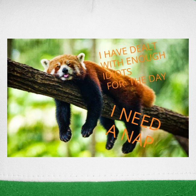 Fox napping meme