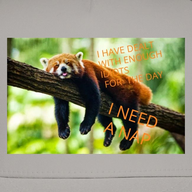 Fox napping meme
