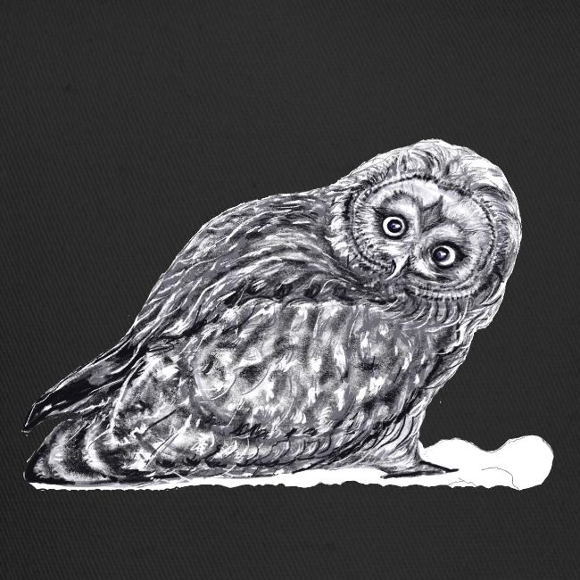 Owl snow