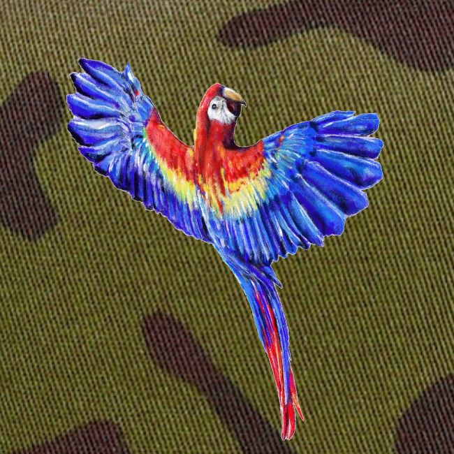 Scarlet macaw parrot