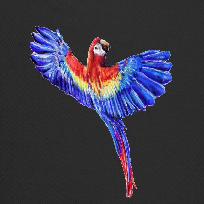 Scarlet macaw parrot