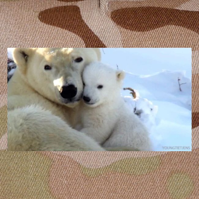 polarbearhug