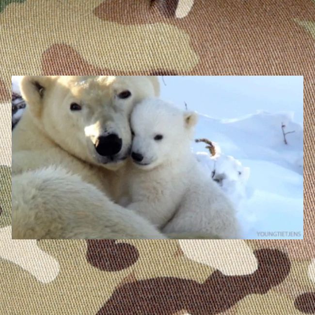 polarbearhug