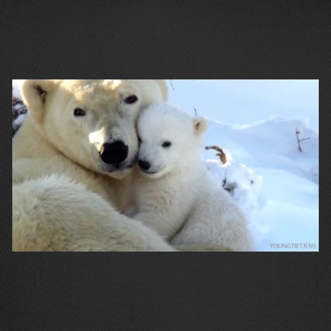 polarbearhug
