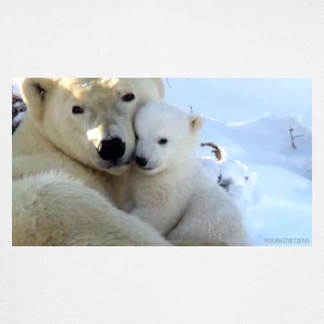 polarbearhug