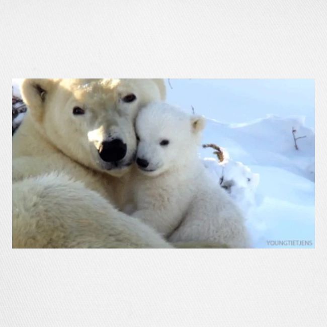 polarbearhug