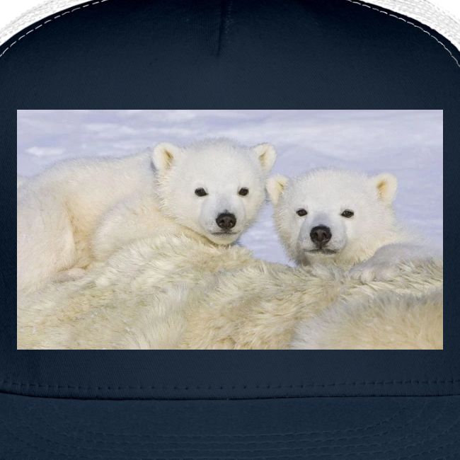 polarbears