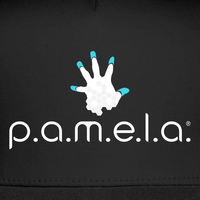 P.A.M.E.L.A. Logo White
