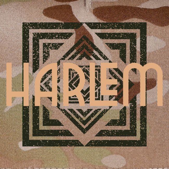 Harlem Sleek Artistic Design