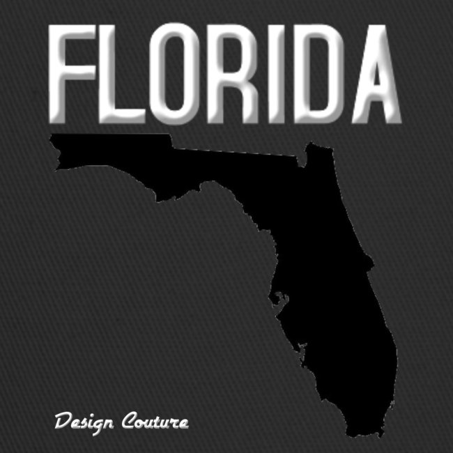 FLORIDA REGION MAP WHITE