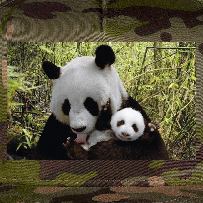 panda