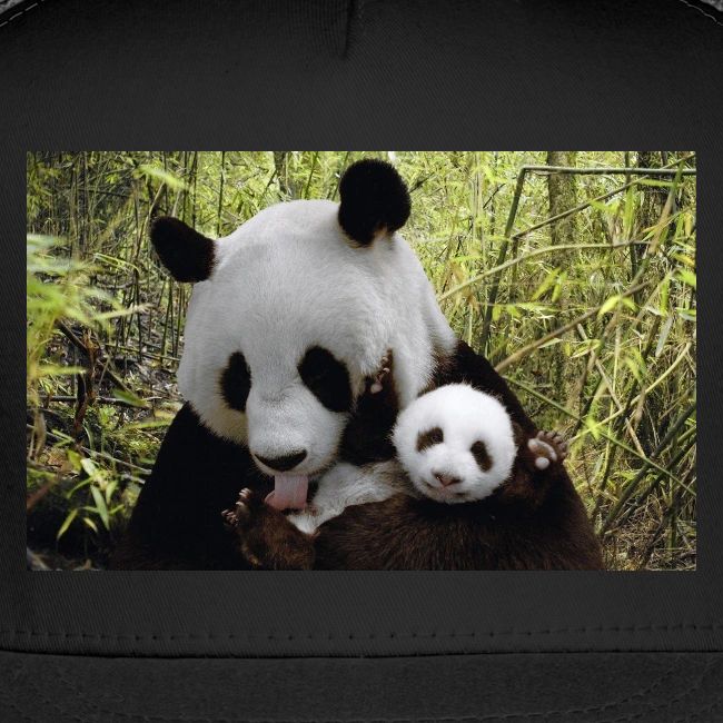 panda