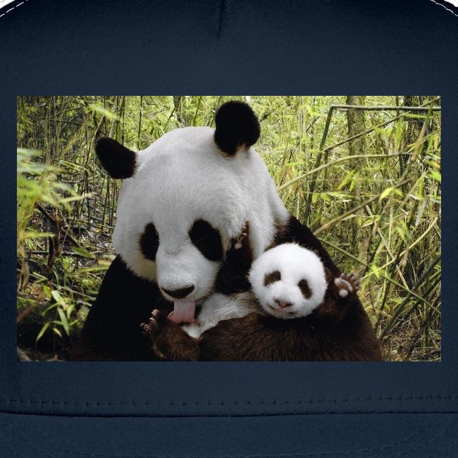panda