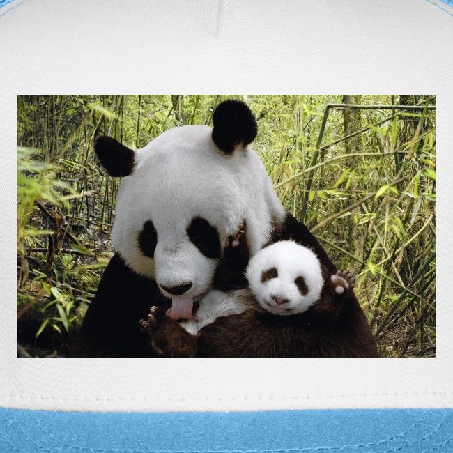 panda