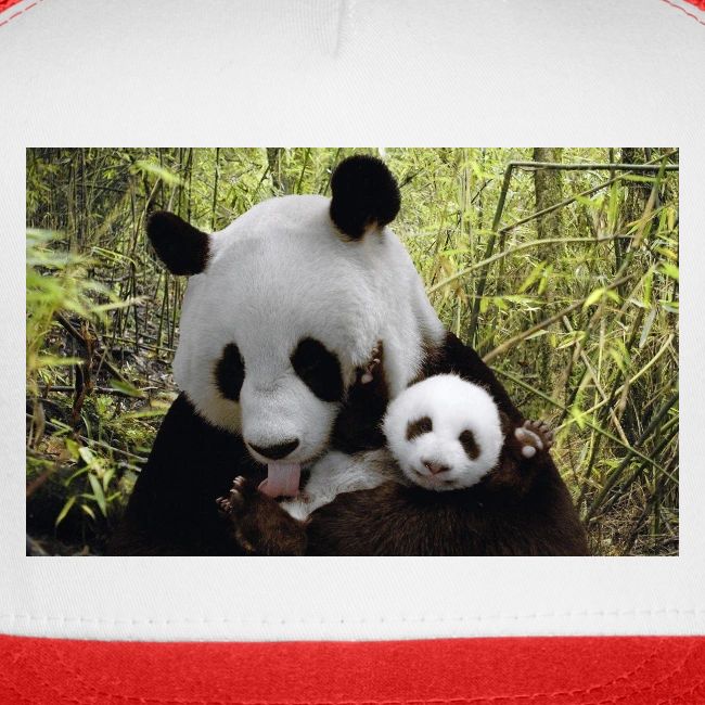 panda