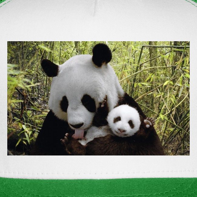 panda