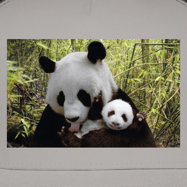 panda