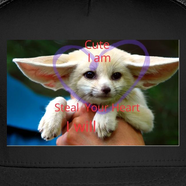 baby fox