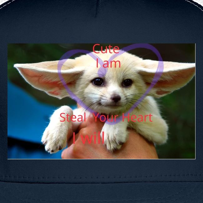 baby fox