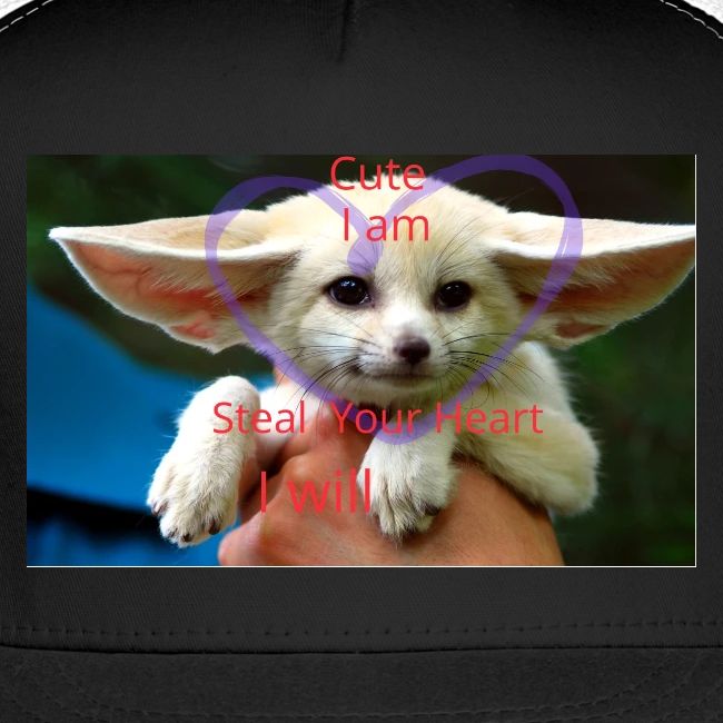 baby fox