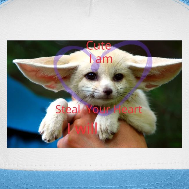 baby fox