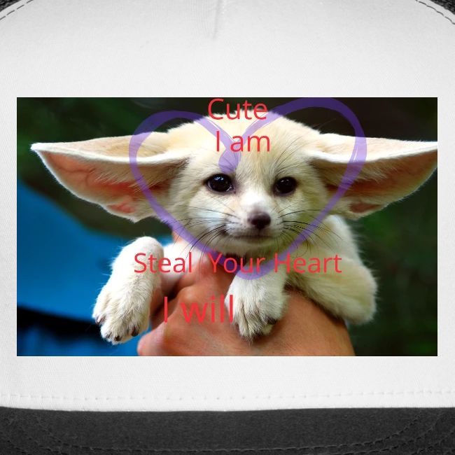 baby fox