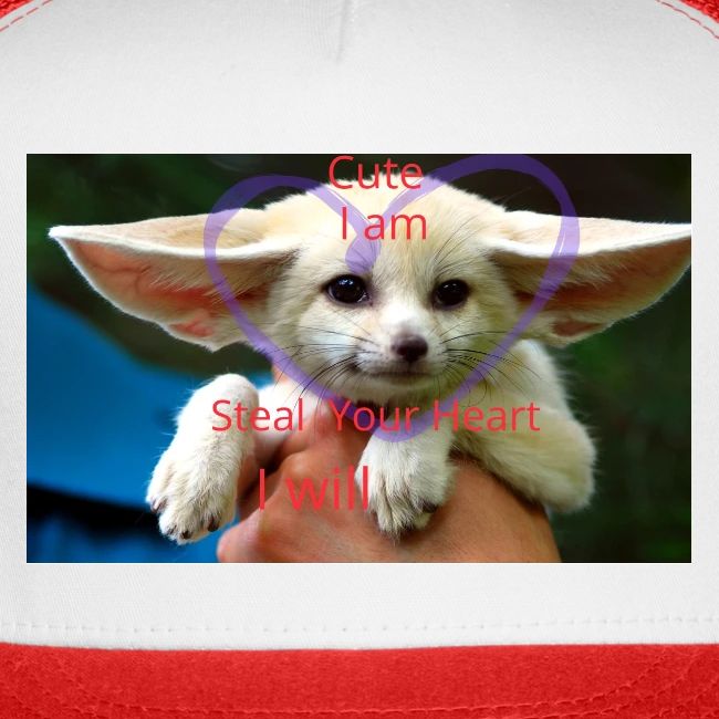 baby fox