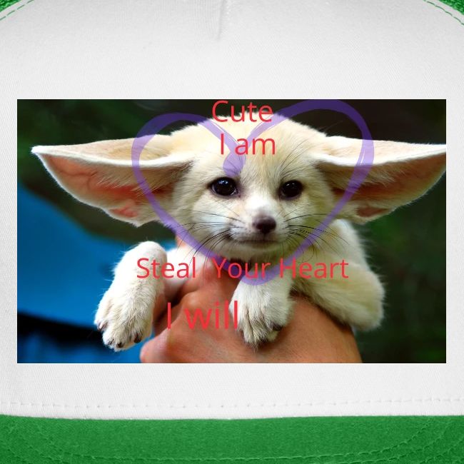 baby fox