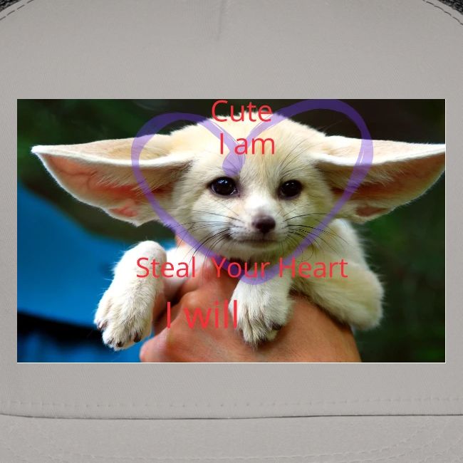 baby fox
