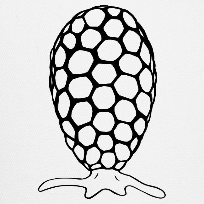 Testate amoeba