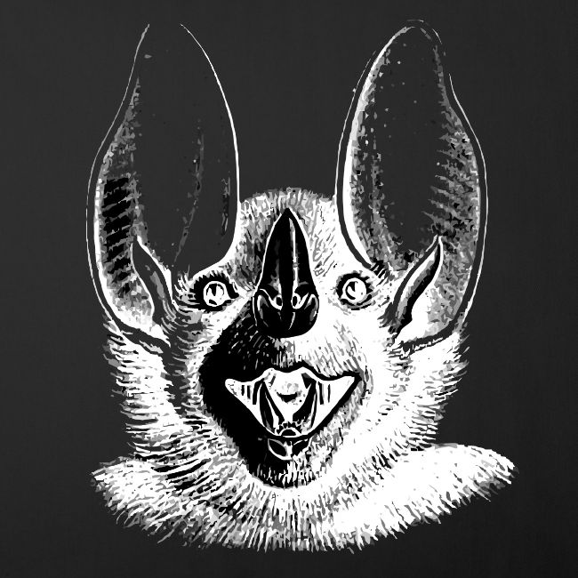 Bat Head 2