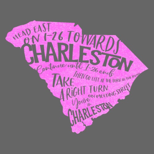 CharlestonDirections Pink - Throw Pillow Cover 17.5” x 17.5”